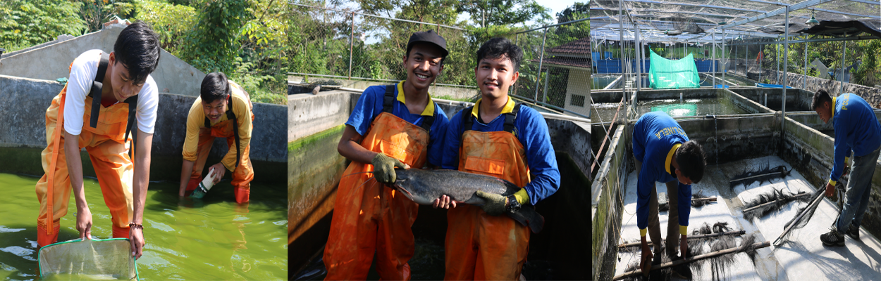 Teknologi Terkini dalam Peternakan Ikan untuk Warga Desa Cikoneng